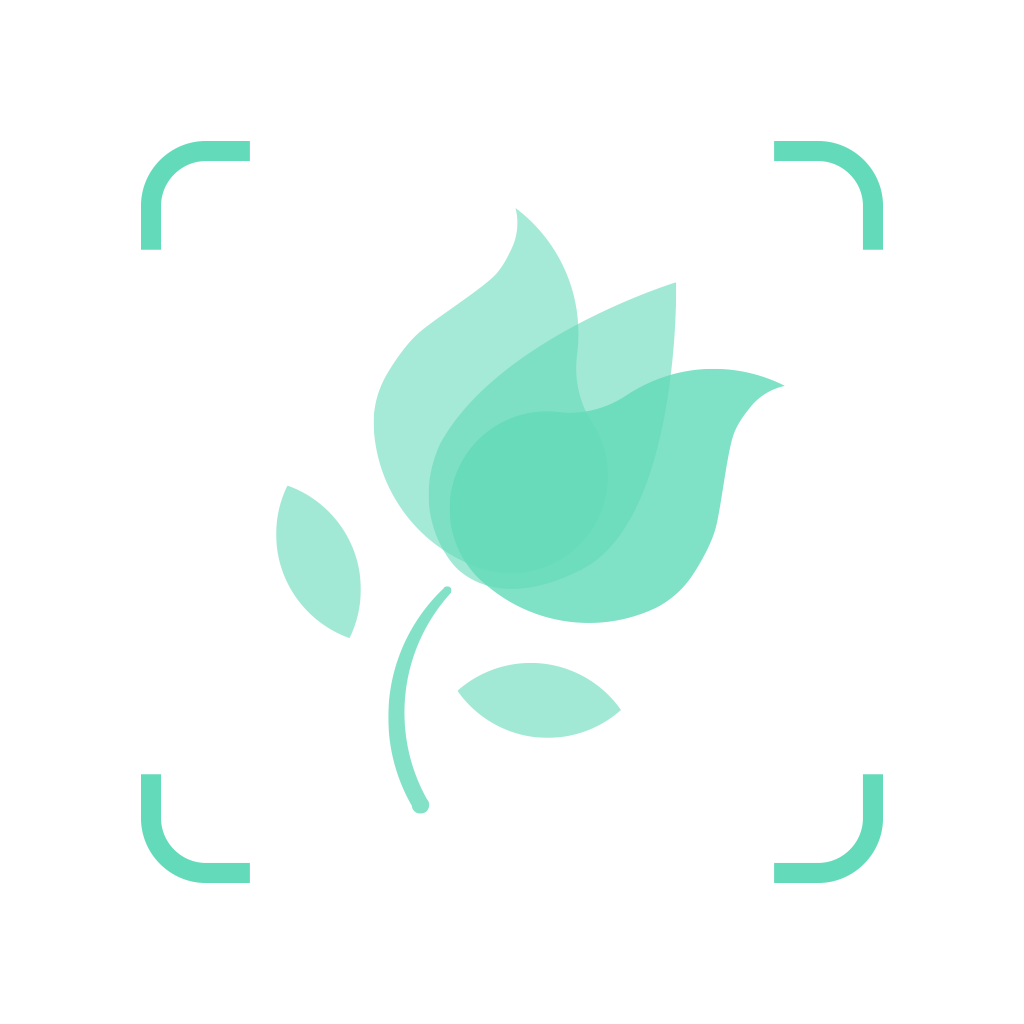 PictureThis logo