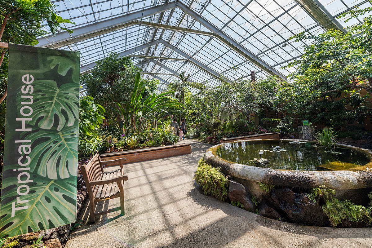 Matthaei Botanical Gardens Tropical House