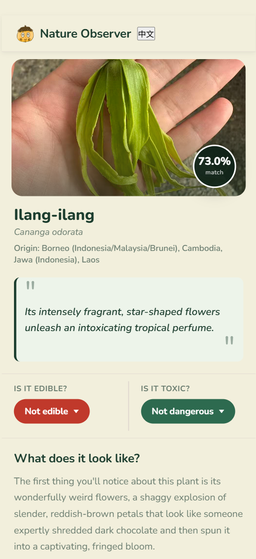 Nature Observer plant identification result